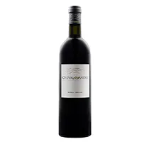 Cheval des Andes Mendoza 2020 0,75l