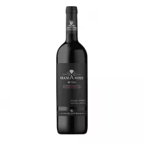DiamAndes Grande Réserve Malbec Cabernet 2019 0,75l