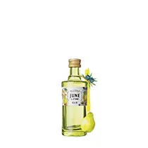 June by G'Vine, Flavored Gin Pear & Cardamon 37.5%  0,05l