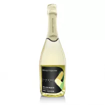 Progettidivini Veneto N°5 Prosecco DOC Treviso Brut   0,75l