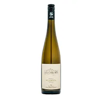 Weingut Schmidl Grüner Veltliner Steinfeder, Ried Alte Point 2025 0,75l