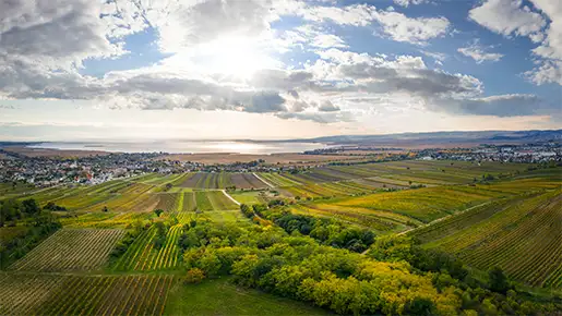 Neusiedlersee