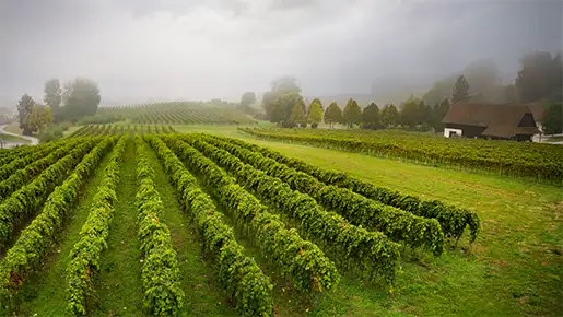Upper Austria