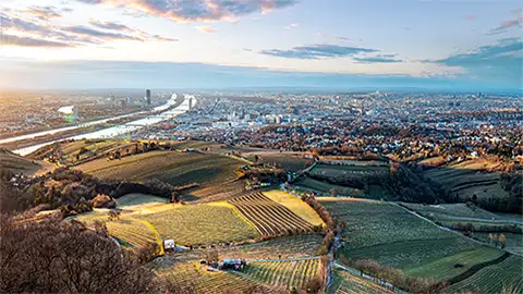 Vienna